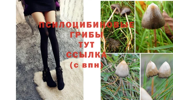 ГАЛЛЮЦИНОГЕННЫЕ ГРИБЫ Ладушкин