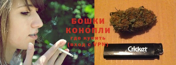 ГАЛЛЮЦИНОГЕННЫЕ ГРИБЫ Ладушкин