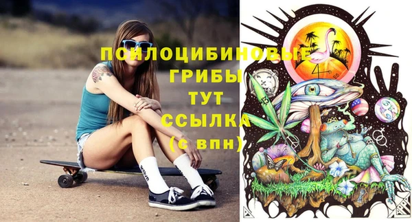 крисы Лагань