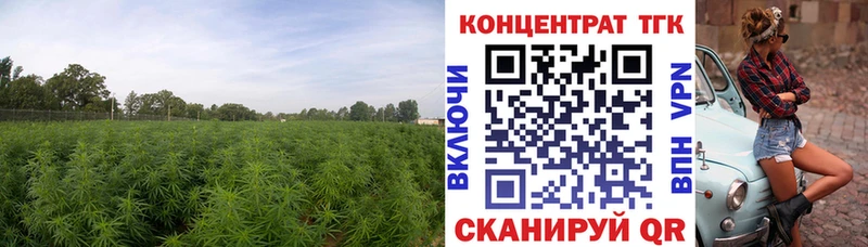 ОМГ ОМГ как зайти Пустошка Дистиллят ТГК THC oil