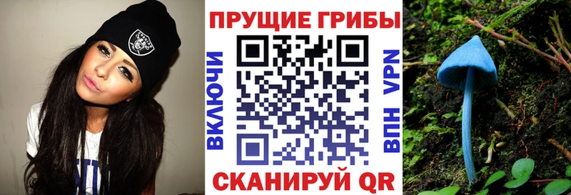 Псилоцибиновые грибы мицелий  omg ссылки  Пустошка  продажа наркотиков 
